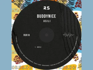 Buddynice – Asili