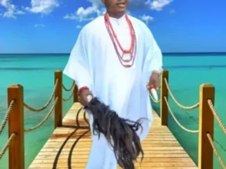 Chief Michael Udegbi – Aku Mesli Bia