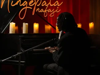 D Voice – Ningepata Nafasi