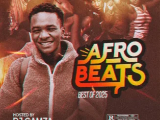 DJ Gamza – Afrobeats Best Of 2025