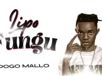 Dogo Mallo – Lipo Fungu