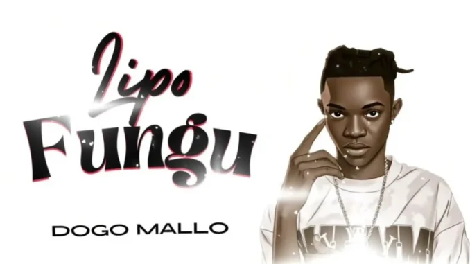 Dogo Mallo – Lipo Fungu
