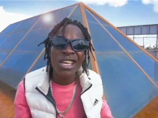 Dstar-Hoozambe X Wadagliz – BREJE