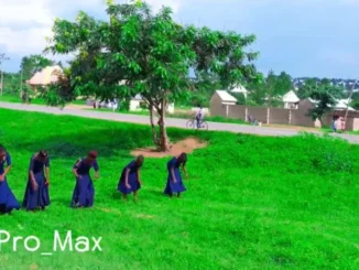 Galilee Pro Max – Lunwa