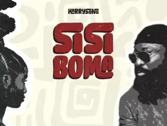 Harrysong – Sisi Boma