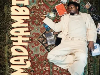 Mocco Genius – Madhambi