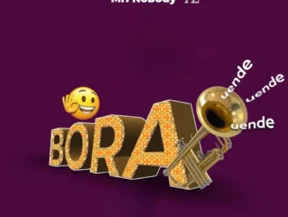 Mr. Nobody Tz – Bora Uende