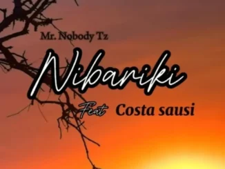 Mr. Nobody Tz ft Costa Sausi