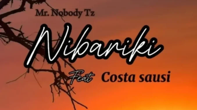 Mr. Nobody Tz ft Costa Sausi