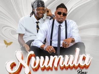 Pest Vybz Ft Pallaso – Nvumula (RMX)