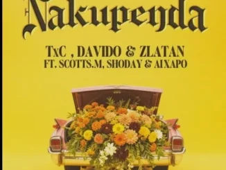 Davido – Nakupenda