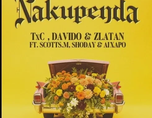 Davido – Nakupenda