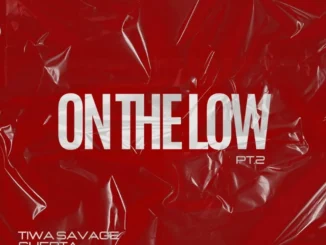 Tiwa Savage – On The Low, Pt. 2 Ft. Skepta & The Ironix