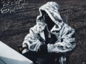 Tml Vibez – Olo mi