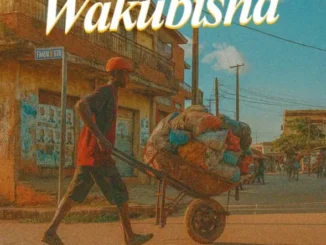 Tophernizer Ft K Pizo – Wakubisha