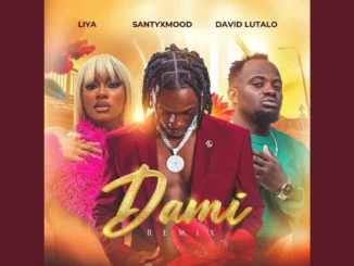 SantyXmood Ft David Lutalo & Liya – Dami (Remix)
