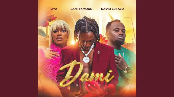 SantyXmood Ft David Lutalo & Liya – Dami (Remix)