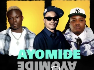 DJ Damlexsoundit Ft. Barry Jhay Indriza Ayomide II Dance Version Mp3 Download