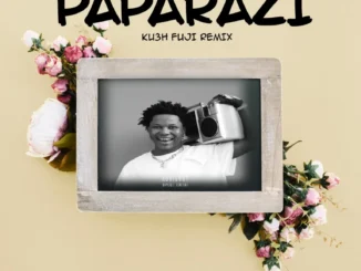 Shoday & FOLA – Paparazzi (Ku3h Fuji Remix) Mp3 Download