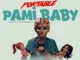 Portable – Pami baby Mp3 Download