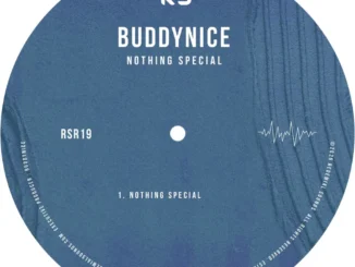 Buddynice – Nothing Special Mp3 Download