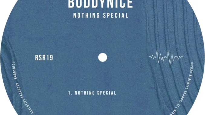 Buddynice – Nothing Special Mp3 Download