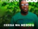 Ceega – Meropa 227 (We Love Mzansi House) Mp3 Download