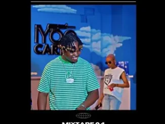 DJ 2Effects – Amapiano 2026 Mixtape 0.4
