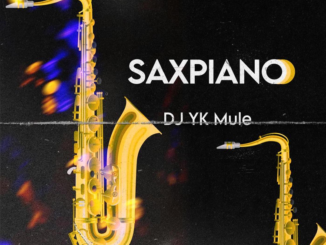 DJ YK Mule – Saxpiano Mp3 Download