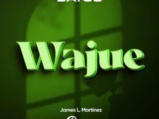 Dayoo Ft James L. Martinez – Wajue (remix) Mp3 Download