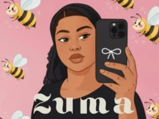 Erm Boii – Zuma Mp3 Download