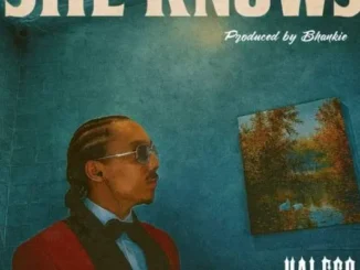 Halfco Baby – She Knowns Mp3 Download