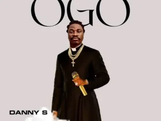 Danny S ft. Portable – Ogo Remix Mp3 Download