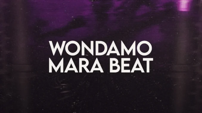 DJ Hazkid 016 & DJ Richoco – Wondamo Mara Beat Mp3 Download