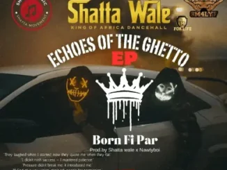 Shatta Wale – Boss A Di Whole Place Mp3 Download