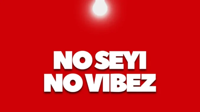 Dj Shaolin Temple – NO SEYI NO VIBEZ Mp3 Download