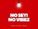 Dj Shaolin Temple – NO SEYI NO VIBEZ Mp3 Download