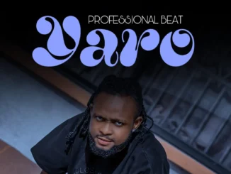 Professional Beat – Yaro Mp3 Download