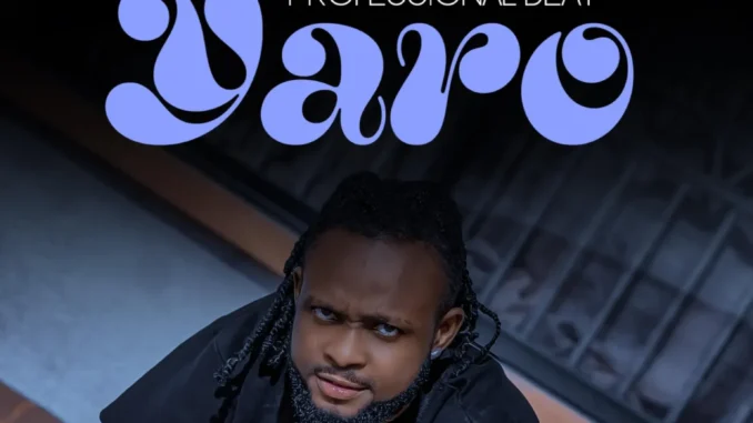 Professional Beat – Yaro Mp3 Download