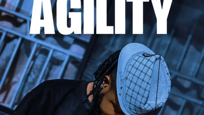 Professional Beat – Agility Mp3 Download
