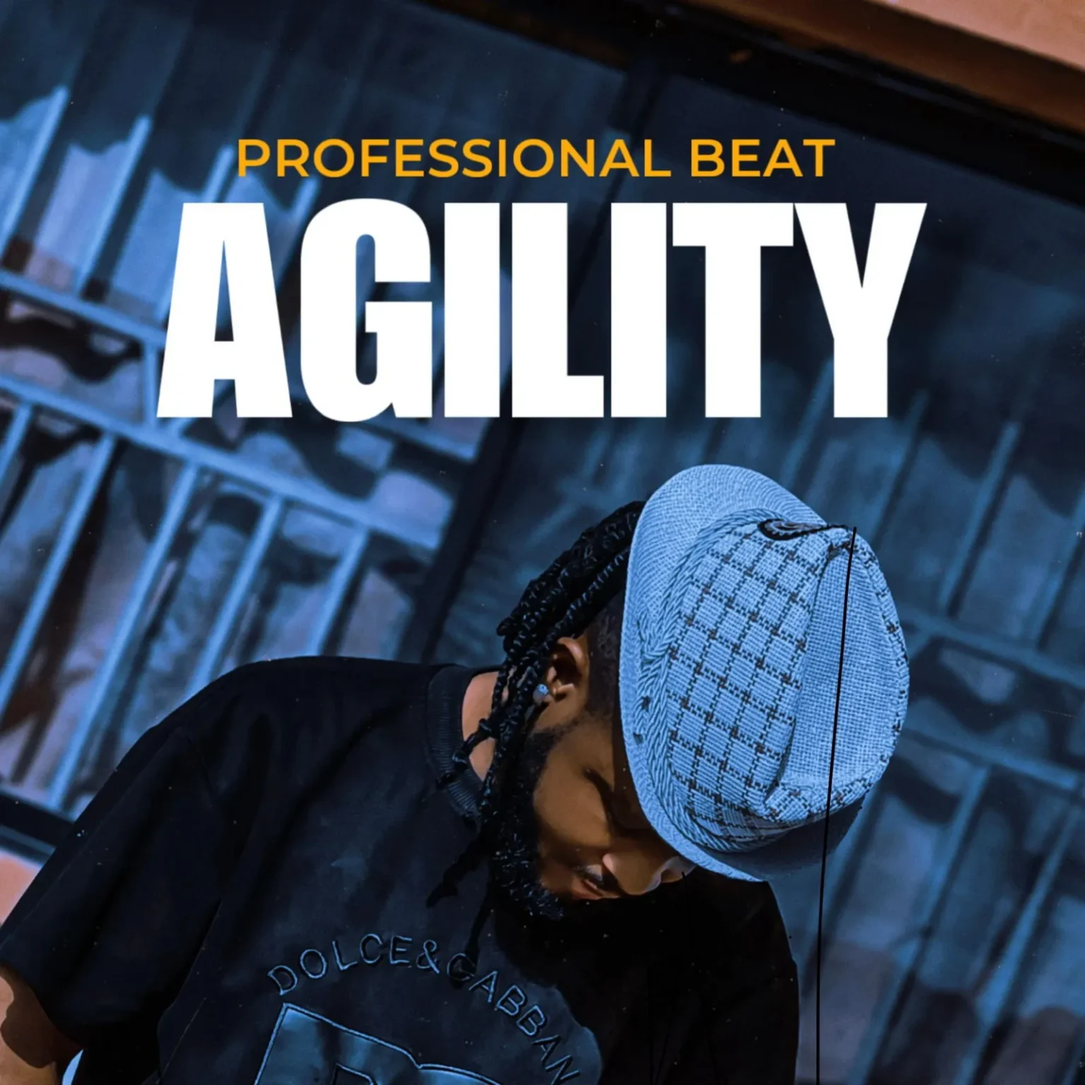 Professional Beat – Agility Mp3 Download