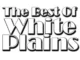 White Plains – When You Are A King Mp3 Download
