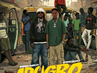 Naira Marley ft. Zinoleesky – Adugbo Mp3 Download