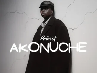 Priesst – Akonuche (Remix) Ft. Shoday Mp3 Download