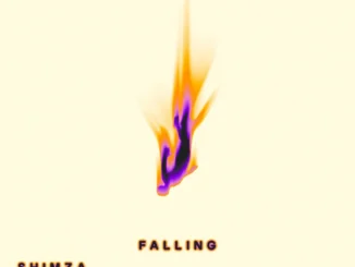 Shimza – Falling Ft Elderbrook Mp3 Download