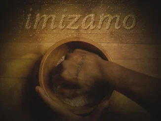 Warren Justin – Imizamo Ft. Tonic Blue, Kelvin Momo, Mr Maker, Shane907 & Noklunga Vilakazi Mp3 Download