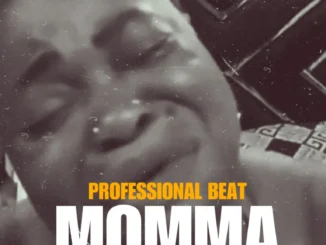 Professional Beat – Momma Mp3 Download