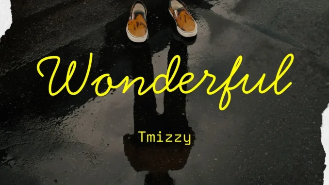Tmizzy – Wonderful Mp3 Download