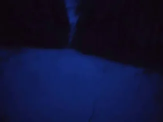 Custodz – Chanel X shiny Mp3 Download