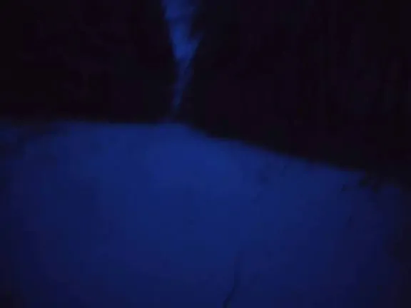 Custodz – Chanel X shiny Mp3 Download